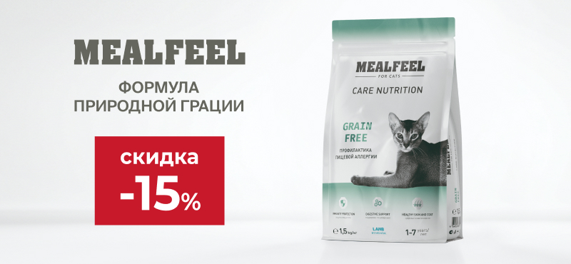 Mealfeel Care Nutrition — забота без компромиссов!