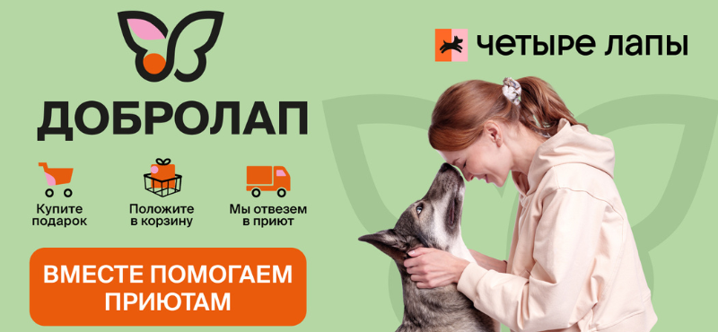 Дарим добро ВМЕСТЕ: благотворительная акция от «Четыре лапы» 