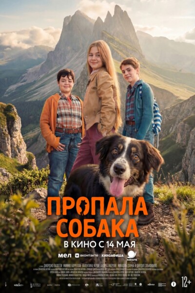 Пропала собака
