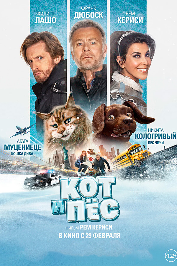 Кот и пёс