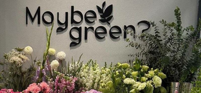 Maybe Green? Сертификат на 500 руб. на цветочную подписку размера "S"